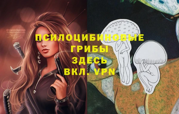 ПСИЛОЦИБИНОВЫЕ ГРИБЫ Гусь-Хрустальный