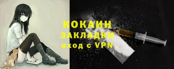 ПСИЛОЦИБИНОВЫЕ ГРИБЫ Гусь-Хрустальный