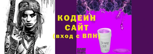 ПСИЛОЦИБИНОВЫЕ ГРИБЫ Гусь-Хрустальный