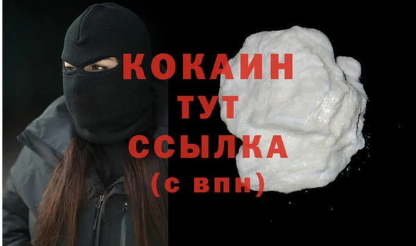 ПСИЛОЦИБИНОВЫЕ ГРИБЫ Гусь-Хрустальный