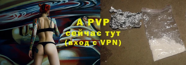 ПСИЛОЦИБИНОВЫЕ ГРИБЫ Гусь-Хрустальный